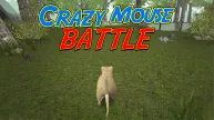 Crazy Mouse Battle