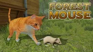 Forest Mouse