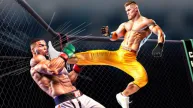 MMA fighting 3D