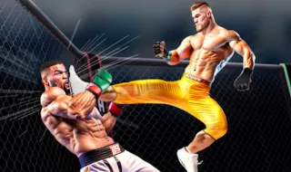 MMA fighting 3D