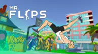 Mr Flip