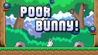 Poor Bunny